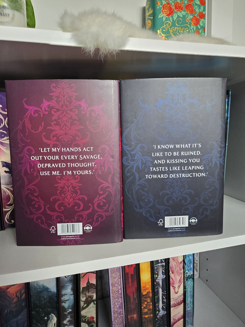 Waterstones - Direbound & Furybound Handsigned - Picture 3 of 8